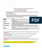 Enzymes and Proteins Notes