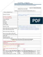 Model Plan de Afaceri SRL-D