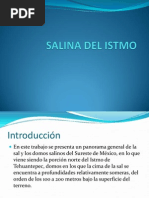 Salina Del Istmo