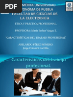 Características Del Trabajo Profesional