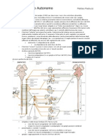 Fisiologia Del Sistema Nervoso Autonomo