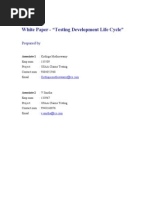 135509-133967 - Testing Development Life Cycle