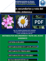 Clase de Metabolitos Secundarios y Ruta de Acido Shikimico