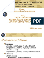 1.1 Características Generales de Protozoos y Helmintos