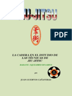 Jiujitsu Tesina 5dan Jiu-Jitsu PDF