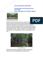 Wisata Hutan Mangrove Kubu Raya