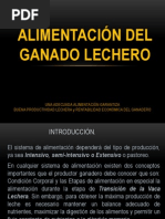 Alimentación Del Ganado Lechero