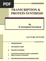 Transcription Protein Synthesis