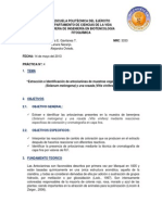 Informe - Antocianinas Completo Entregar