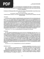 Toxicidad de Croton Alnifolius PDF