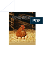 Guia para Crianza de Gallinas Ponedoras