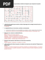 Funcion de Nutricion Taller