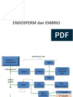 Endosperm &embryo Review