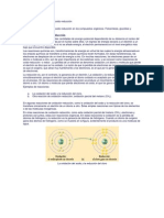 Oxido Reduccion Metabolismo