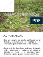 Charla Hortalizas