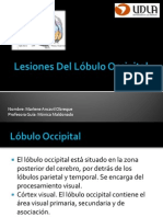 Lesiones Del Lóbulo Occipital