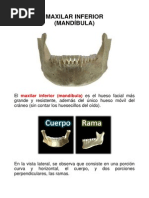 Biomagnetismo Maxilar Inferior