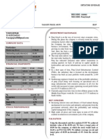 Punj report12111PDF