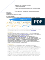 Rifamicinas e RNA Polimerase