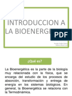 Bioenergetica