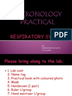 Microbiology Practical: BY Nurhafizah BT Hatta C 111 09 865