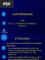 Leptospira