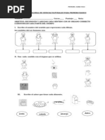 Evaluacion Global de Ciencias Naturales para Primero Basico