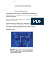 Consecuencias Anatómicas Del Edentulismo