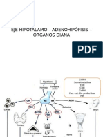 Eje Hipotálamo - Adenohipófisis - Organos Diana