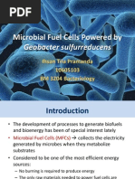 Microbial Fuel Cell