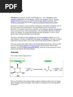 Glycolytic Pathway