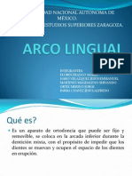 Arco Lingual