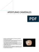 Aperturas Camerales