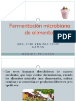 Fermentación Microbiana de Alimentos