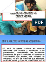 Funciones y Campos de Acción