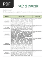 Sales de Schussler Cuadro