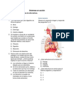 Evaluacion Naturales 5o Basico