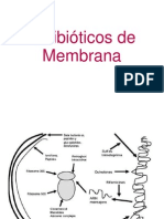 Antibioticos de Membrana Terapeutica