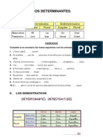 Los Determinantes