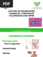 Lectura de Secreciones Vaginales y Uretrales Coloreados Con Gram