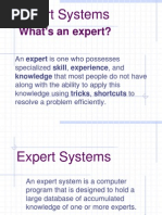 Expert Systems 