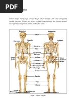 Sistem Rangka