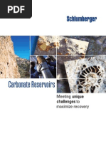 Carbonate Reservoirs