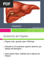 Hígado