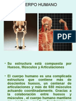 Conociendo Al Cuerpo Humano