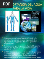 La Importancia Del Agua para La Vida