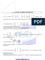 Ejercicios Algebra Matricial