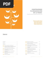 16 Pasos para La Constitución de Una OSC
