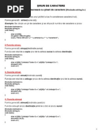 Functii Pentru Lucrurl Cu Sirurile de Caractere in C++