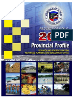 2011 Iloilo Profile